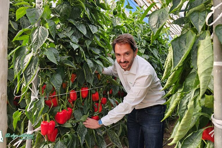 ‘Soy parte de ti’ y Matías García inspiran al pimiento Matga