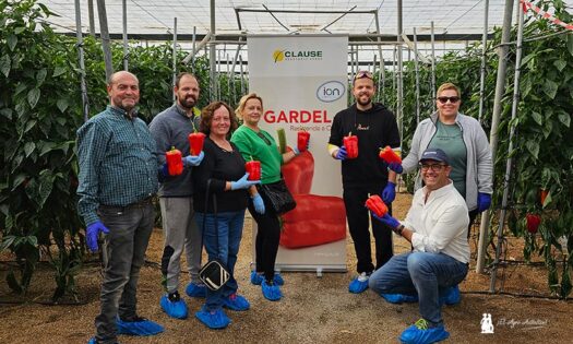 Gardel resistente a oídio estrena el catálogo de lamuyo de HM.Clause-noticias-agroautentico.com