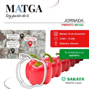 Jornada de pimiento de Sakata