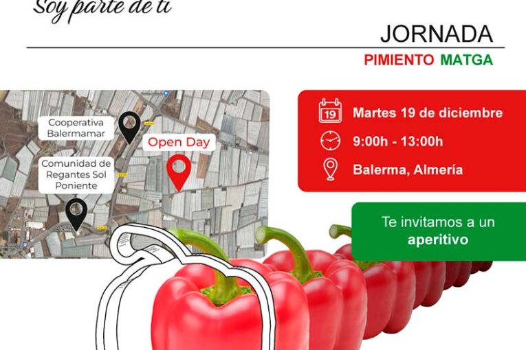Día 19 de diciembre. Jornada de pimiento de Sakata