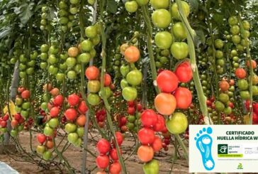 Agrocolor certifica la huella hídrica en 5 cultivos de Rijk Zwaan