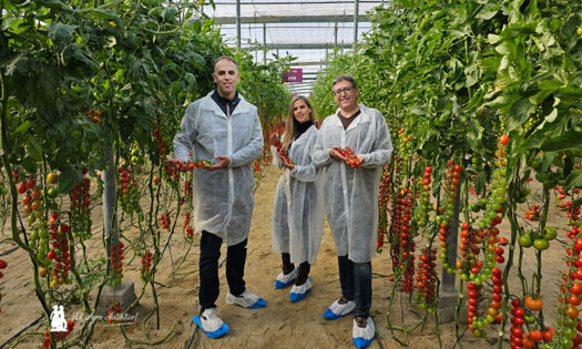 Gautier se cita con el sabor en su última nueva hornada de tomates