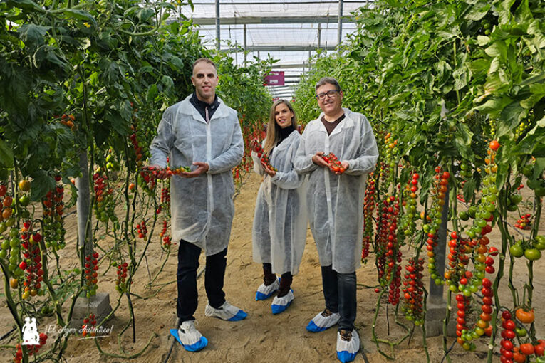 Gautier se cita con el sabor en su nueva hornada de tomates