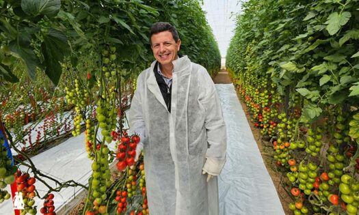 Manuel Hernández con el tomate cocktail Vivalto / agroautentico.com