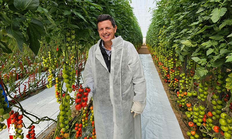 Manuel Hernández con el tomate cocktail Vivalto / agroautentico.com