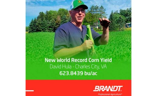 David Hula logra un nuevo récord mundial de rendimiento de maíz con productos de BRANDT