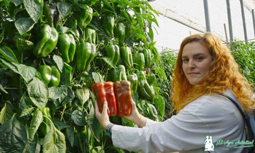 Blanca Martínez, genetista de pimiento de Ramiro Arnedo / agroautentico.com