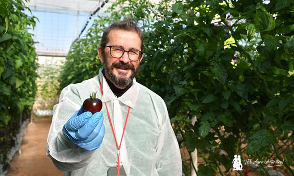 Paco Solera con un cherry redondo de color vino / agroautentico.com