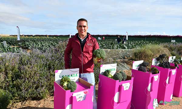Antonio Ibarra con el nuevo brócoli BRO03184 / agroautentico.com