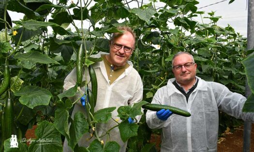 Hans Henrik, cucurbit breeder head; con Daniel Lirola, breeder de pepino de Sakata / agroautentico.com