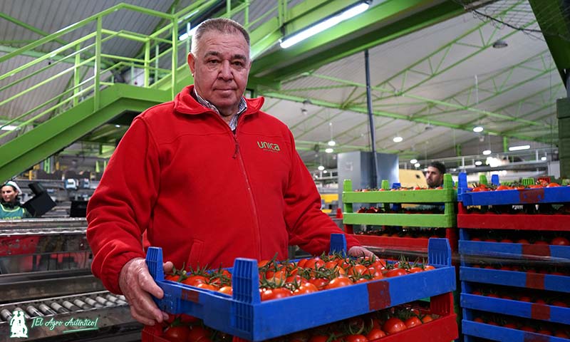 José Martínez Portero, presidente de Unica, con una caja de tomates ecológicos de Natursur / agroautentico.com