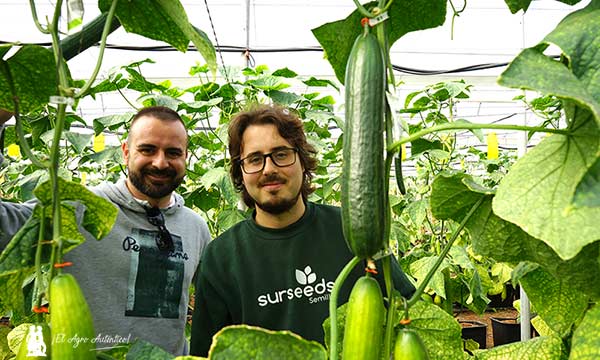 Los hermanos Álex y Daniel Martín Cara, genetistas de Sur Seeds / agroautentico.com