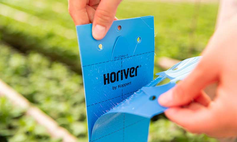 Nuevo envase y nueva identidad visual para todos los productos Horiver-noticias-agroautentico.com