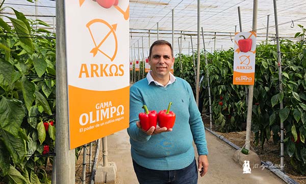 Los pimientos Arkos, Bikos y Salonikas refuerzan la gama de Nunhems-noticias-agroautentico.com