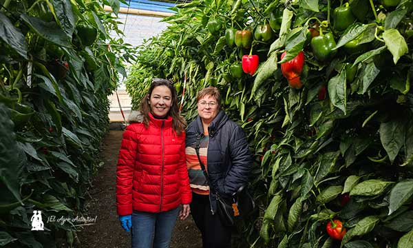 Mónica Romero y Mª Jesús Manzano, agricultoras, con la variedad de pimiento Leontes / agroautentico.com