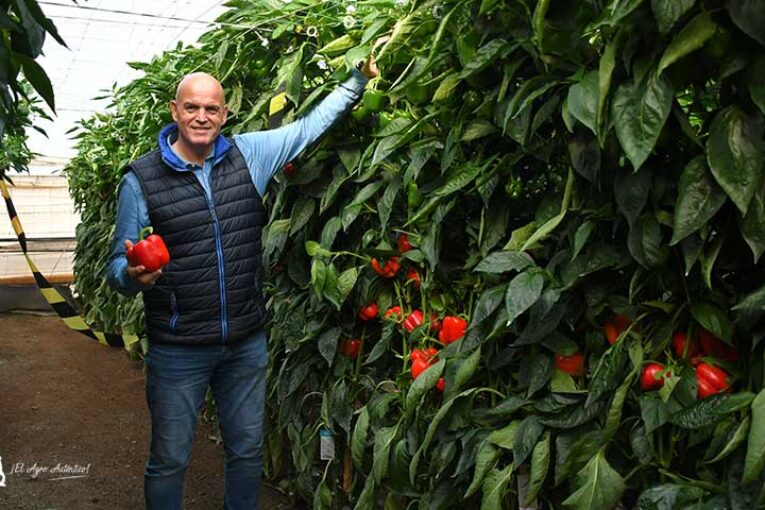 Syngenta afianza sus tardíos: Saitama, Hokkaido, Leontes, Sensei, Masami y Akame
