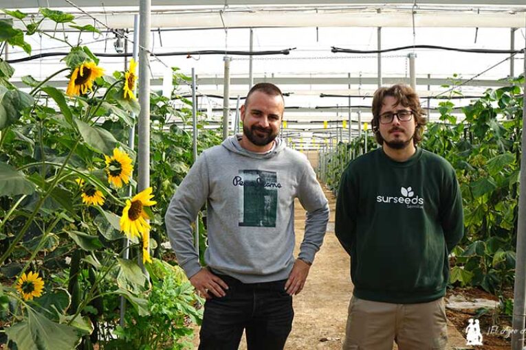 Sur Seeds abre la cocina de su I+D en pimiento y pepino