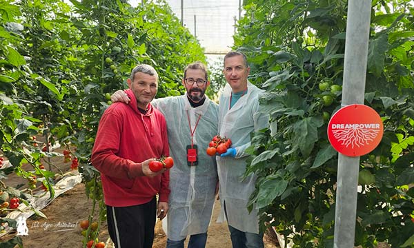 Antonio Capel, Paco Solera y Fernando Nache en las jornadas de tomate de BASF en Almería / agroautentico.com