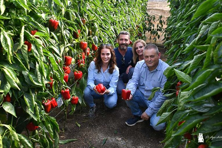 CapGen avanza una nueva generación de pimientos de agosto con oídio