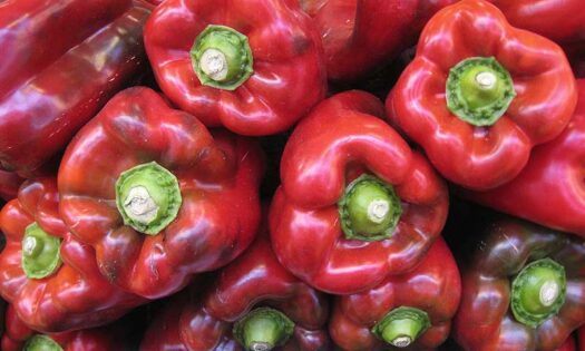 Logran reabrir el mercado de EEUU para el pimiento almeriense-noticias-agroautentico.com