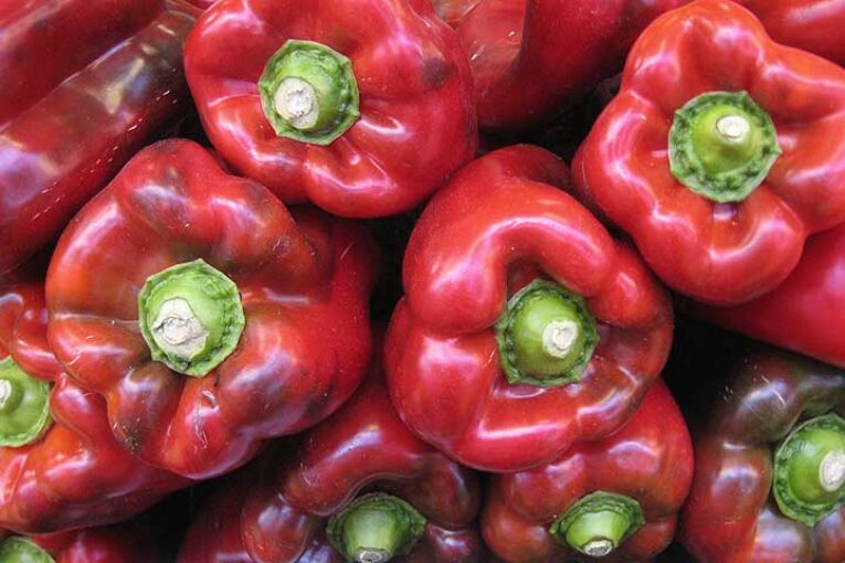 Logran reabrir el mercado de EEUU para el pimiento almeriense