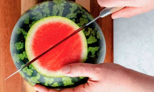Sandía Exceed mini, nominada a los premios de innovación en Fruit Logística-noticias-agroautentico.com