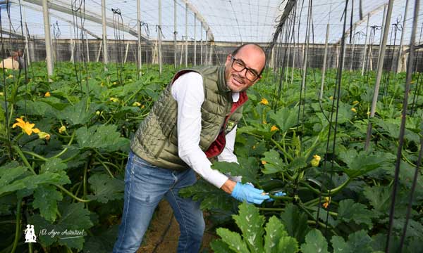 Antonio Gutiérrez, especialista de cultivo de calabacín en Syngenta / agroautentico.com