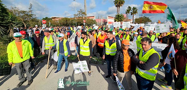 Agricultores portan calabacín español en Algeciras / agroautentico.com