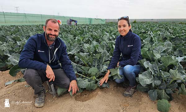 Nacho Suárez y Lorena Torres con el brócoli Pacífico / agroautentico.com
