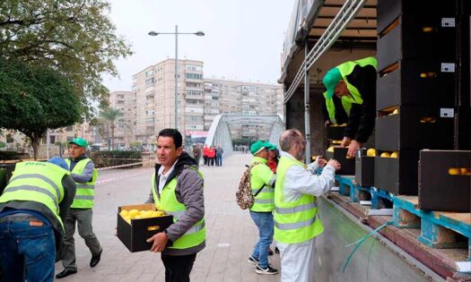 Fuente: FECOAM, cooperativas murcianas. Esta semana se han repartido miles de kilos a los ciudadanos en la macroprotesta de Murcia / agroautentico.com
