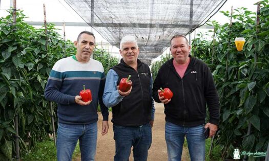 Jorge Bervel de Ramiro Arnedo con los agricultores almerienses José Antonio Raya y Francisco Morillas / agroautentico.com