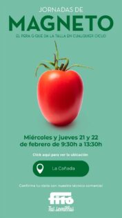Tomate Magneto de Semillas Fitó