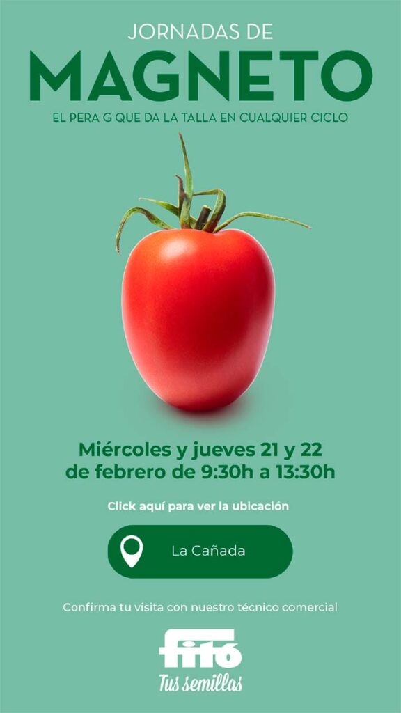 Tomate Magneto de Semillas Fitó