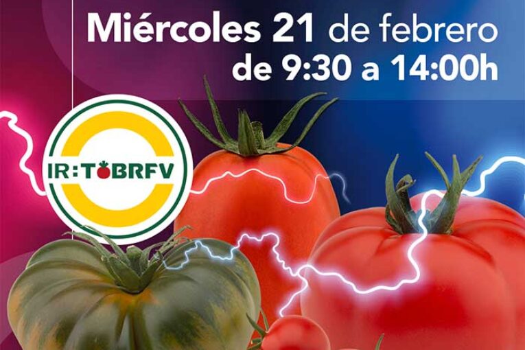 Día 21 de febrero. Jornada de tomate de HM.Clause
