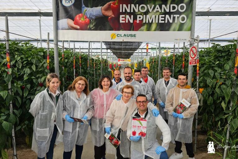 Los paquetes de resistencias renuevan el catálogo de pimiento rojo y amarillo de HM.Clause