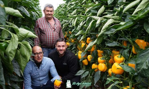 Juan Barrera, padre e hijo, con Luis Martínez de Syngenta y el pimiento Barrera / agroautentico.com
