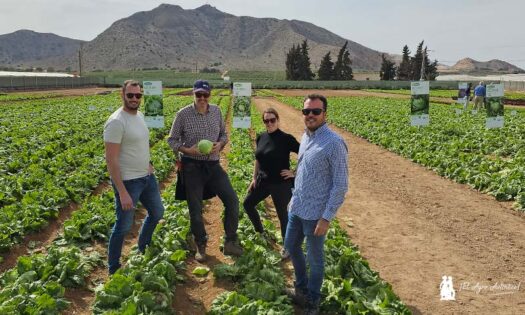 José Luis Pérez con el distribuidor Campoes. Lechuga iceberg en la región de Murcia / agroautentico.com