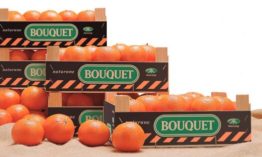 ANECOOP reparte 1.250 kilos de mandarinas Bouquet en la 10kfem de Valencia-noticias-agroautentico.com