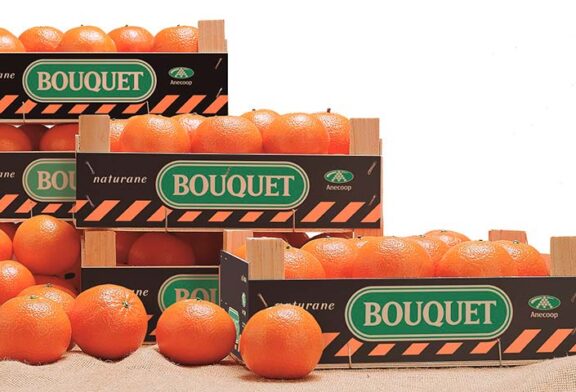 Anecoop reparte 1.250 kilos de mandarinas Bouquet en la 10kfem de Valencia