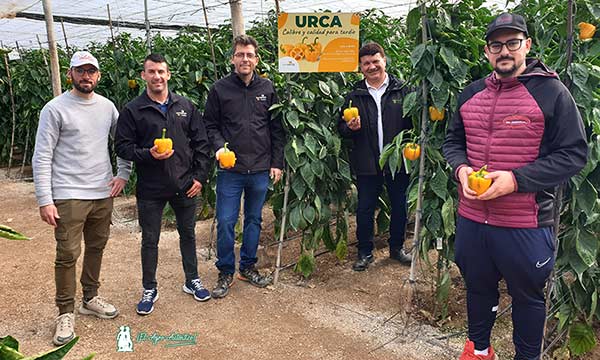 Manuel e Iván, técnicos de Expoalma, con Manuel, Germán y Jorge, de Sur Seeds / agroautentico.com