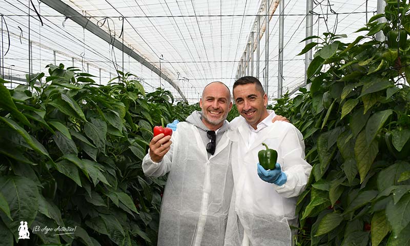 José Antonio Funes, agricultor; y José David Ávila, técnico comercial en el Levante de Hazera cpn Tiguan 