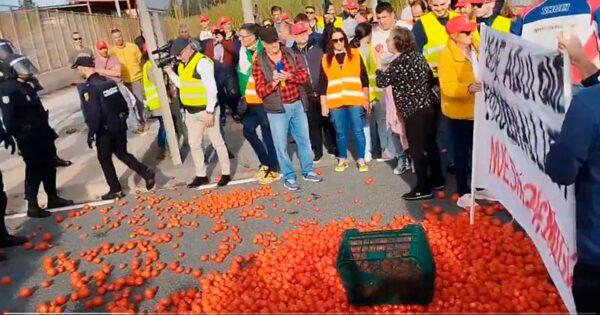 Puerto de Motril. Tomate por los suelos. Metáfora de la competencia de terceros países / agroautentico.com