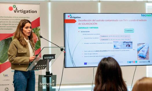 Virtigation evalúa nuevas herramientas de biocontrol contra las posibles pandemias en cultivos hortícolas