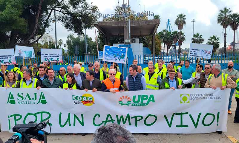 Motril, Algeciras, Almería y ahora el puerto de Sevilla