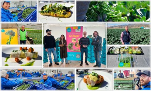 Bimi® Gastro Trip acerca el campo al mundo de la gastronomía