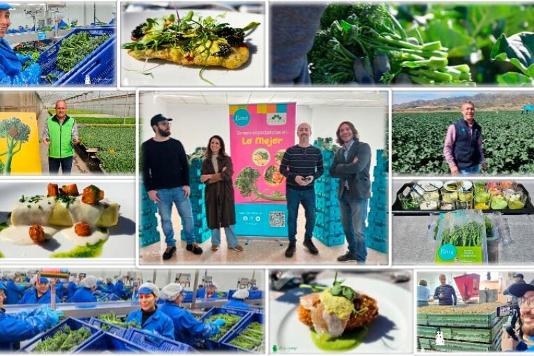 Viajamos al origen del Bimi en Murcia, desde la semilla hasta el plato del consumidor