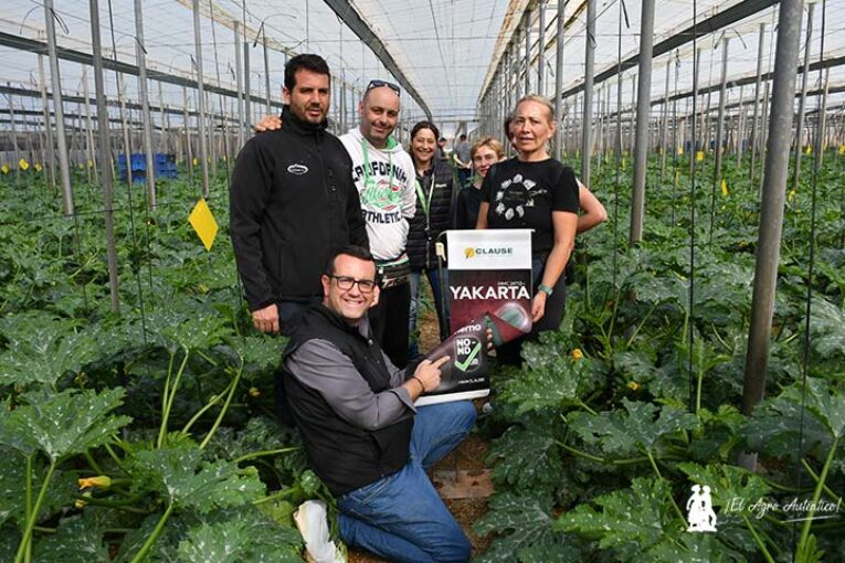 El nuevo Sinatra con resistencias es el calabacín Yakarta