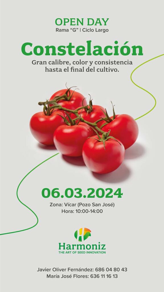 tomate rama G, Constelación