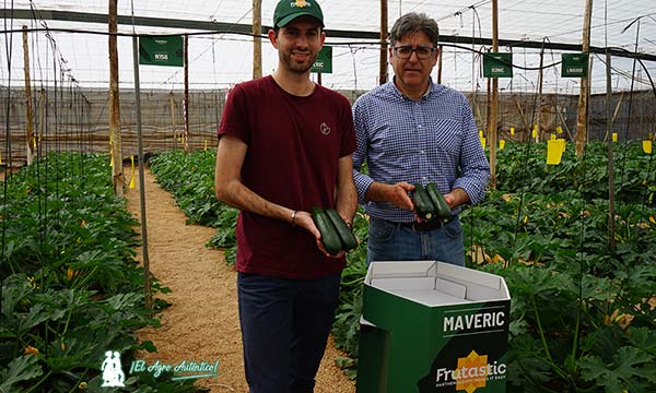 David Madiot y Manuel Martínez con la variedad Maveric / agroautentico.com