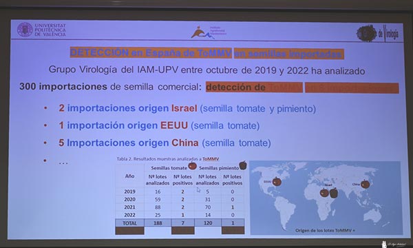 Detección en España de ToMMV en semillas importadas